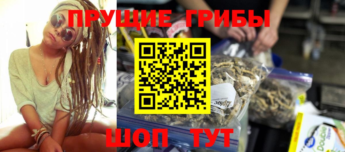 Курган  Псилоцибиновые грибы мухоморы  Вход с VPN 